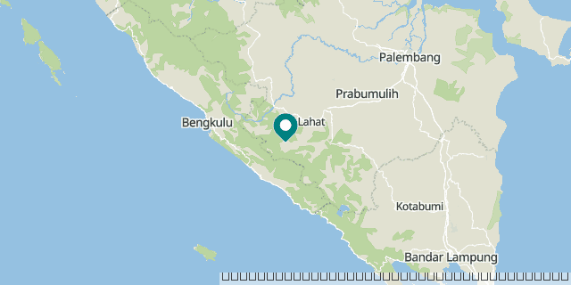 karta
