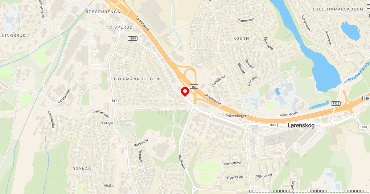 Hund drepte hund – eier siktet